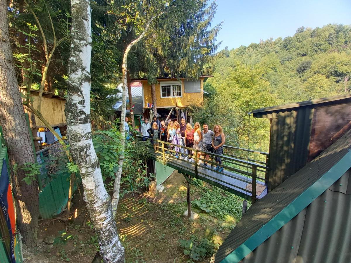 Apartmán Tree House Visoko Exteriér fotografie