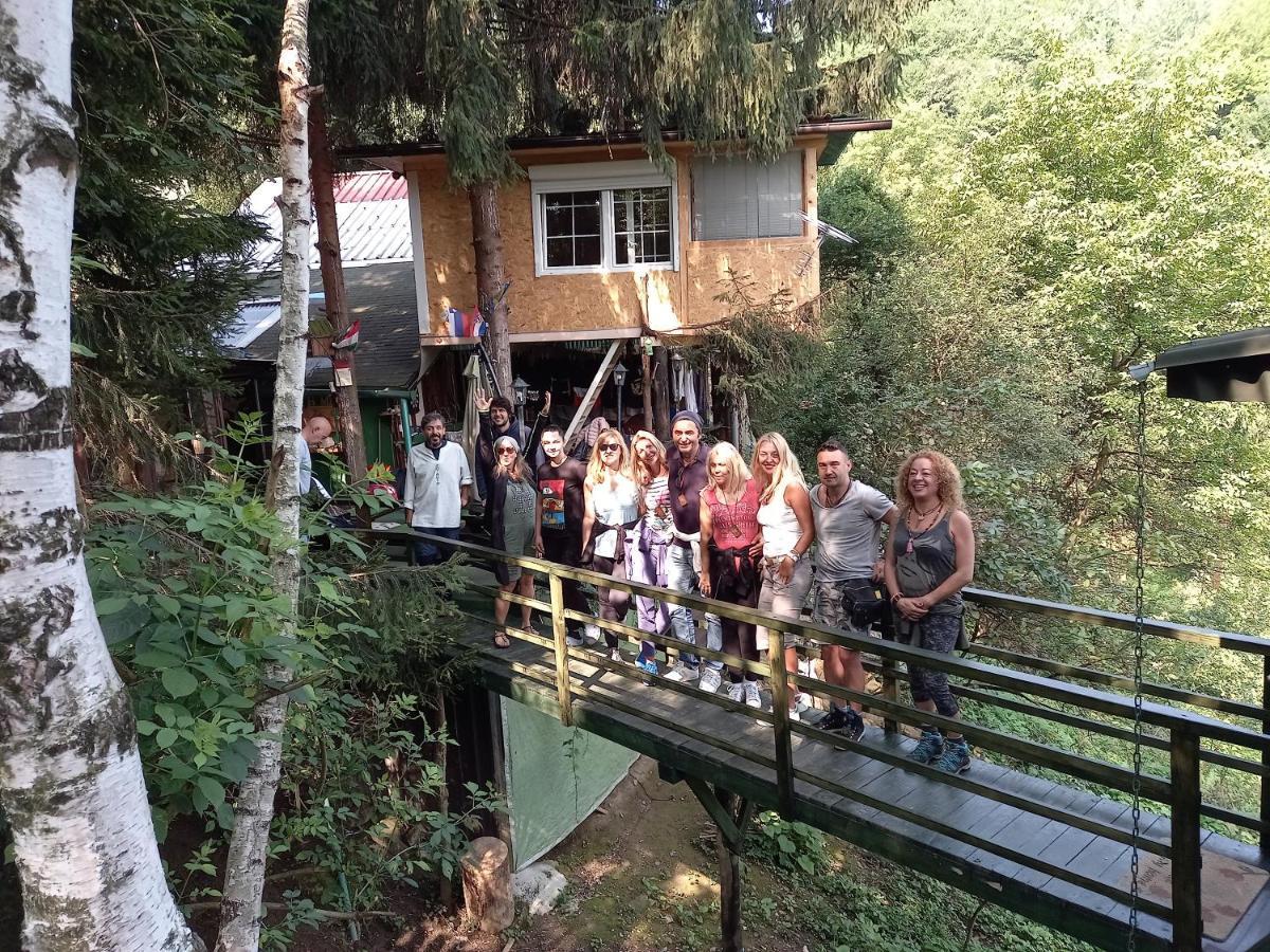 Apartmán Tree House Visoko Exteriér fotografie