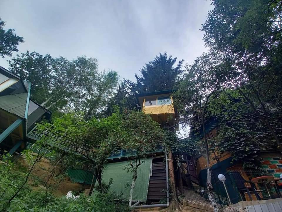 Apartmán Tree House Visoko Exteriér fotografie